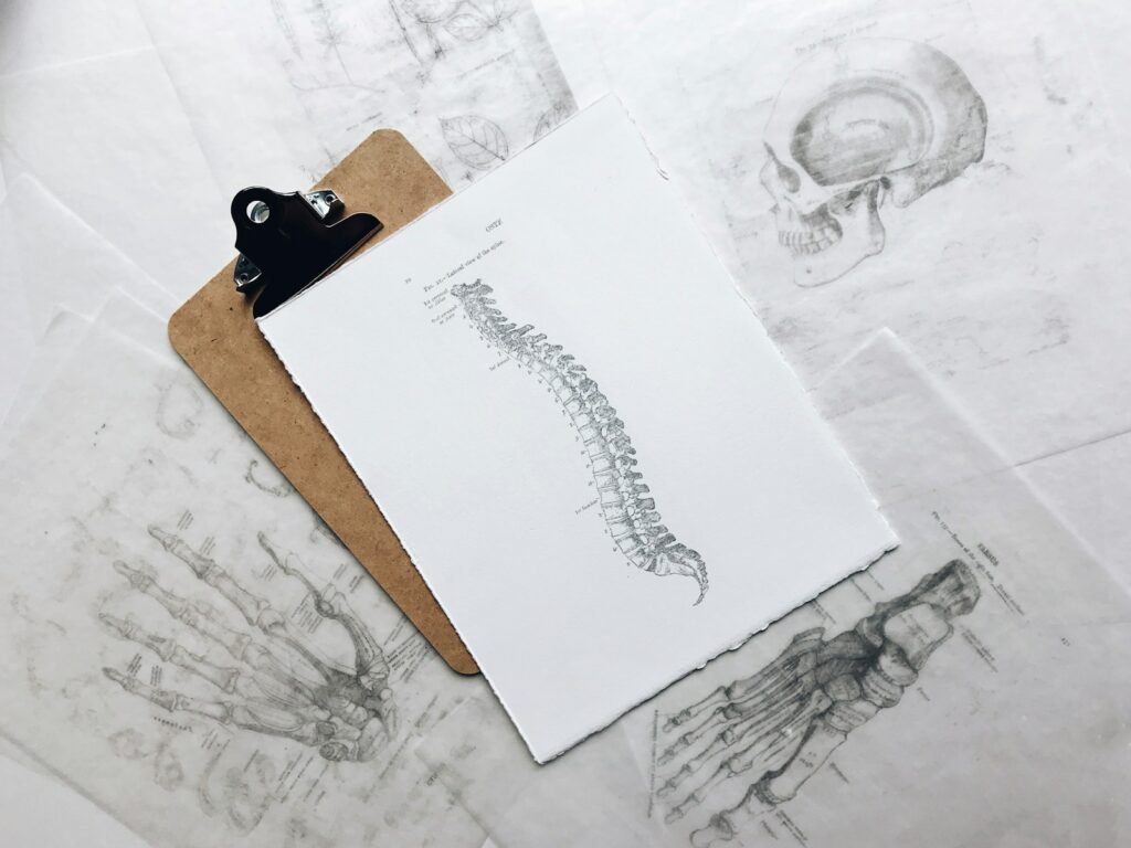 spinal health